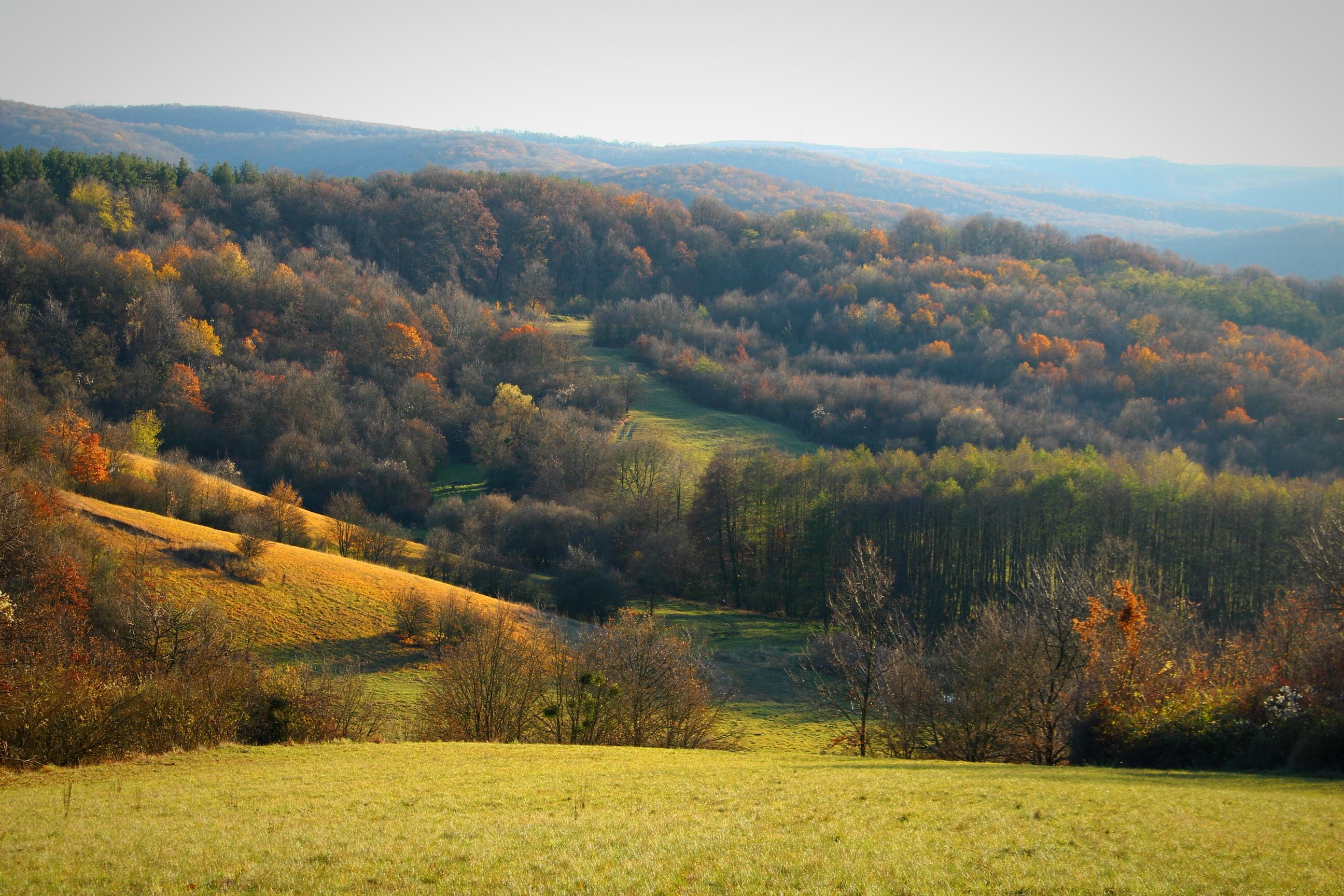 10 November Yoga Retreats: It’s Time to Plan Something for Yourself